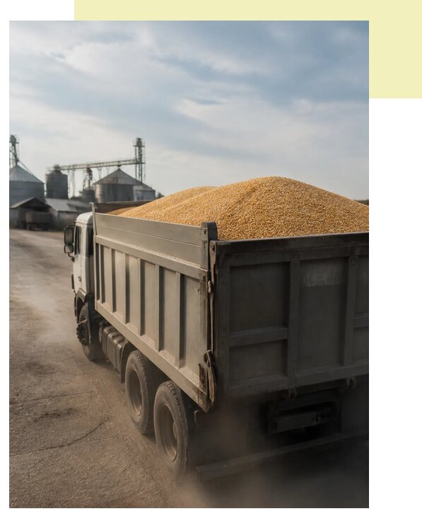 Перевозка сельхозпродукции навалом в Губаху по цене от 3110 р. | Агросервис-Гбх