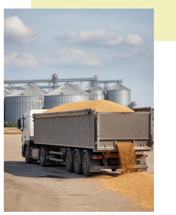 Перевозка пшеницы автотранспортом в Губаху по цене от 5546 р. | Агросервис-Гбх